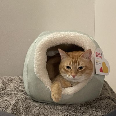 Boots and barkley outlet cat bed