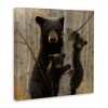 Stupell Industries Forest Black Bear and Cubs, 24" x 24" - 3 of 4