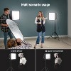 Boersma Foldable Softbox Diffuser with Grid and Bag for NL660/SNL660/RGB660/RGB660 PRO II LED Video Light Panel, Studio Photo Portrait Photography - 2 of 4