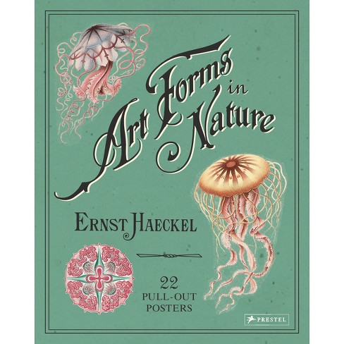 Ernst Haeckel: Art Forms in Nature Sticker Book — Pomegranate