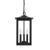 Elegant Lighting Carlisle 9 Inch Outdoor Pendant in Black - 2 of 4