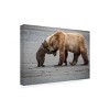 Trademark Fine Art -Renee Doyle 'A Little Bear Hug' Canvas Art - 4 of 4