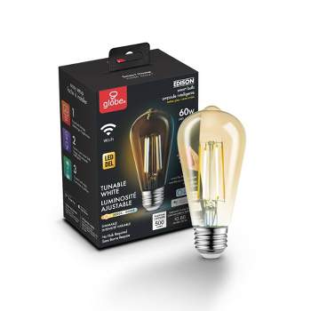 Smart 60W Equivalent Vintage Filament Tunable White LED Wi-Fi Enabled Voice Activated ST19 E26 Amber Glass Light Bulb
