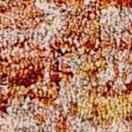 cream, mustard, rust, dustycoral, darkbrown, mediumgray