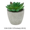 Unique Bargains Artificial Plants Small Graptopetalum in Mini Pulp Plastic 2.76"x2.76"x2.95" 1 Pc - 3 of 4