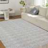 Printed Area Rug, Realistic Braided-Look Textured Rugs, Machine Washable Non-Slip Indoor Carpet for Living Room, Bedroom & Durable Home Decor - 2 of 4