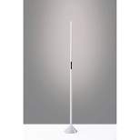 Cole LED Color Changing Wall Washer Floor Lamp (Includes LED Light Bulb) Matte White - Adesso