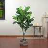 Northlight 4' Potted Two Tone Green Artificial Wide Fiddle Leaf Fig Tree - 2 of 4