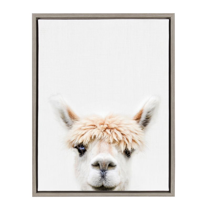 Sylvie Alpaca Bangs Framed Canvas by Amy Peterson Art Studio - Kate & Laurel All Things Decor, 1 of 6