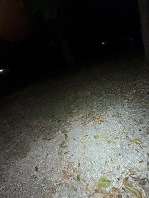 Guest review image 3 of 5, zoom in