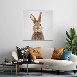 iCanvas Rabbit by Gal Design Canvas Print Wall Art - 1 of 3