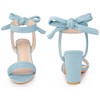Perphy Women's Slingback Back Ankle Tie Open Toe Chunky Heel Sandals - 2 of 4
