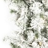 Vickerman Flocked Kiana Artificial Christmas Wreath - 2 of 4