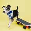 Pavilion Gift Company - Oh My Dog! - 7" x 5" Canvas Slip on Pet Bandana - Pet Apparel Accessories - 2 of 4