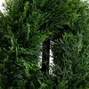 Nearly Natural Double Pond Cypress Spiral Artificial Topiary Tree UV Resistant (Indoor/Outdoor) - 3 of 4