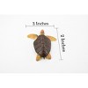 Collectible Wildlife Gifts | Turtle, Loggerhead Sea Turtle, (Caretta caretta) Rubber Reptile, Realistic Toy Figure, Model, Gift,   2 1/2"  CH408 BB108 - 2 of 4
