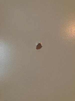Guest review image 1 of 1, zoom in