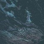 clear push pins bundle