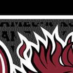 south carolina gamecocks