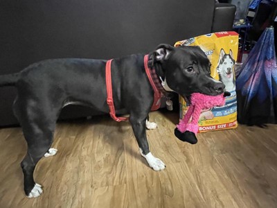 Guest review image 2 of 5, zoom in