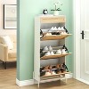 Black Rattan Shoe Cabinet with 3  Door 1 Drawer Wooden Free Standing Shoe Racks, Shoe Storage Organizer Shoe Rack for Entryway, Hallway Metal Ad - 2 of 4