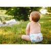 Thirsties | Stay Dry Natural One-Size All-in-One Cloth Diaper Pack of 1 - image 2 of 2