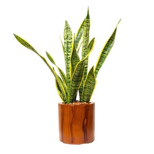 NAYSAYE 7.8 Inch Dark Wood Planter with Reservoir for Indoor and Outdoor Garden Decor, Brown, 7.8"*7.8"*7.8" - 1 of 4