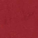 cardinal