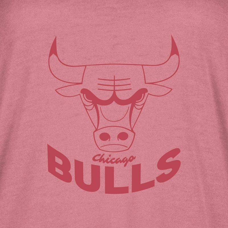 NBA Chicago Bulls Women&#39;s Short Sleeve Vintage Logo Tonal Crew T-Shirt, 4 of 5