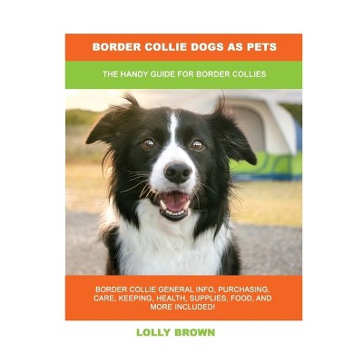 Border Collie: Character, Health, Feeding, Price, and Care