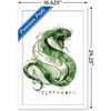 Trends International Harry Potter Slytherin House Logo Framed Wall Poster Prints - 3 of 4