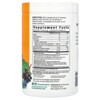 COUNTRY FARMS Immune Defense Superfoods Drink Mix, Supports Immune Defense, Vitamin C with Black Elderberry, Supports Hydration, with Probiotics and - 2 of 4