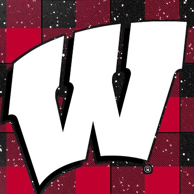 wisconsin badgers