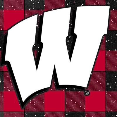 wisconsin badgers