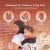LILLEbaby Carryon Airflow DLX Baby Carrier - 4 of 4