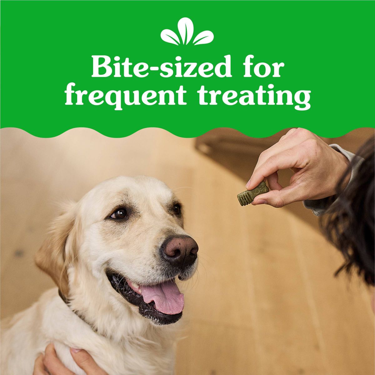 Greenies Anytime Bites Original Flavor Dog Treats - thumbnail 5