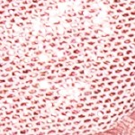 Petal Pink Glitter