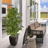 HomeStock  5 ft. Artificial Bamboo Tree in Planter for Indoor/Outdoor - 3 of 4