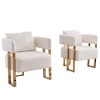 2-Piece Teddy Fleece Decorative Side Chair Set with Gold Metal Legs - 3 of 4
