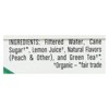 Steaz Organic Iced Peach Green Tea - Case of 4/6 pack, 16 oz - 4 of 4