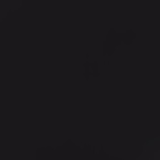 black and pink butterfly