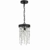 Crystorama Lighting Winham 1 - Light Pendant in  Black Forged - 2 of 3