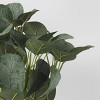 10" x 10" Artificial Eucalyptus Arrangement - Threshold™ - image 3 of 4