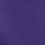 midnight violet