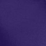 midnight violet