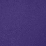 midnight violet