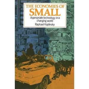 The Economies of Small - by  Raphael Kaplinsky (Paperback) - 1 of 1