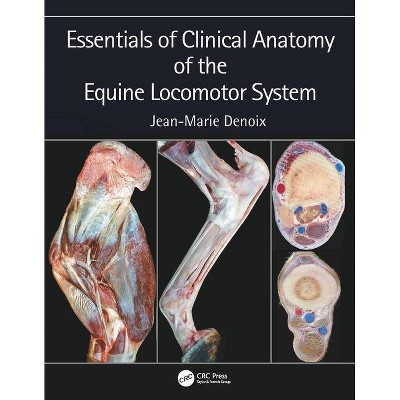 Essentials of Clinical Anatomy of the Equine Locomotor System - by  Jean-Marie Denoix (Hardcover)