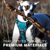 Embark Harness Co Adventure No Pull Dog Harness - 4 of 4