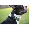 Country Brook Petz 1 1/2 Inch Deluxe Dog Collar - Affection Collection - 2 of 4